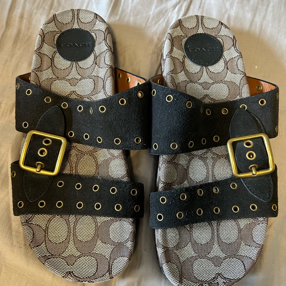 Coach slides - Picture 2 of 4